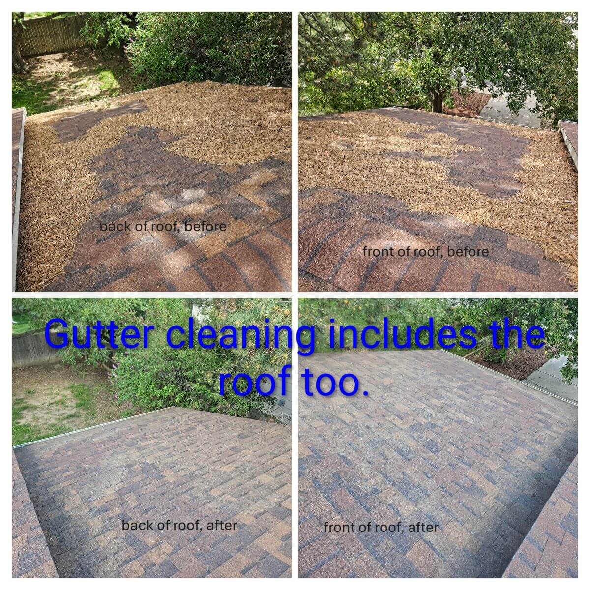 A four-panel image showing a roof covered in pine needles before cleaning, and clean after.