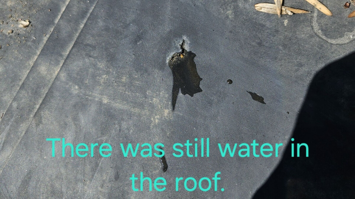 Water squeezed out from under a rubber roof membrane during an inspection.