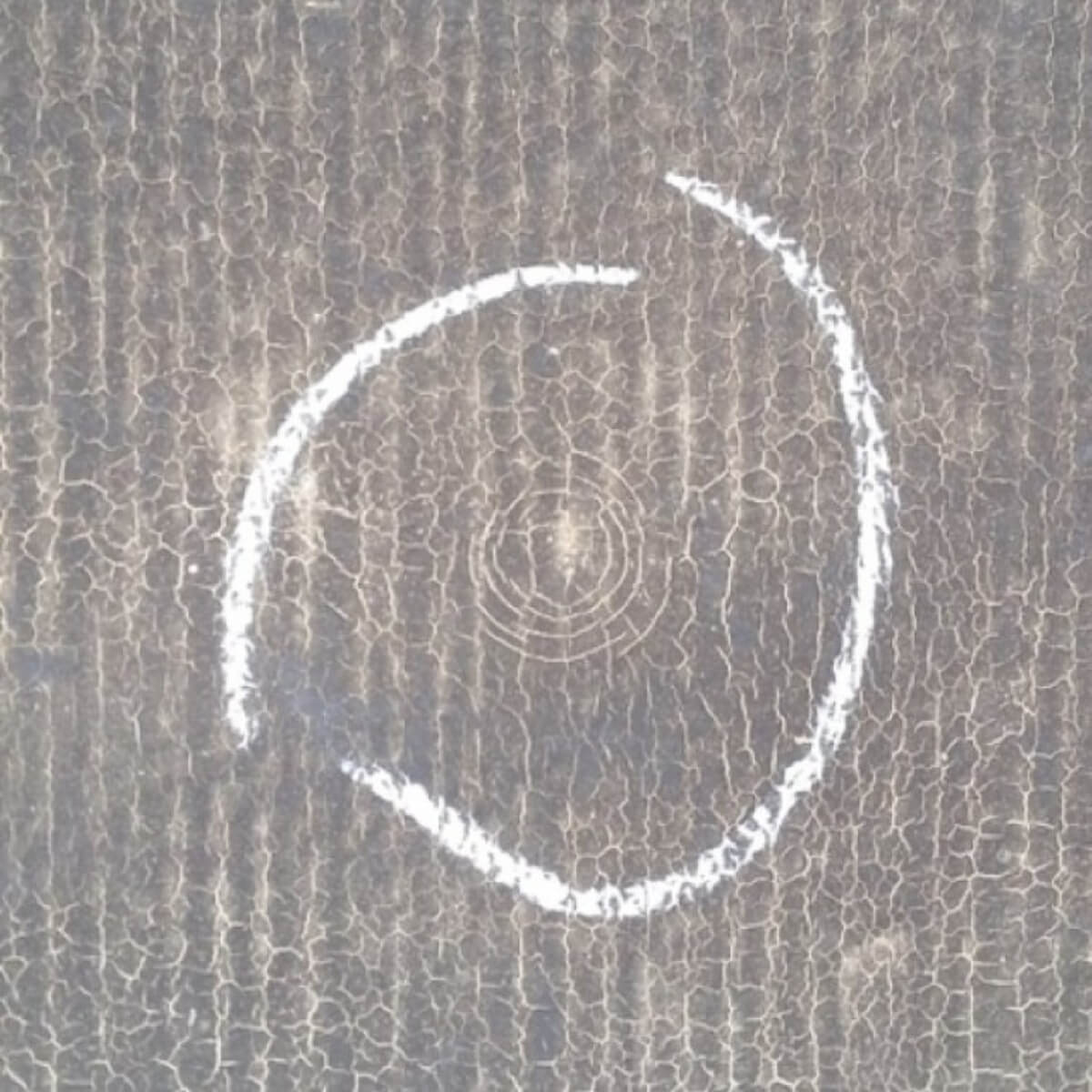 Bullseye mark from hail on a modified bitumen flat roof.