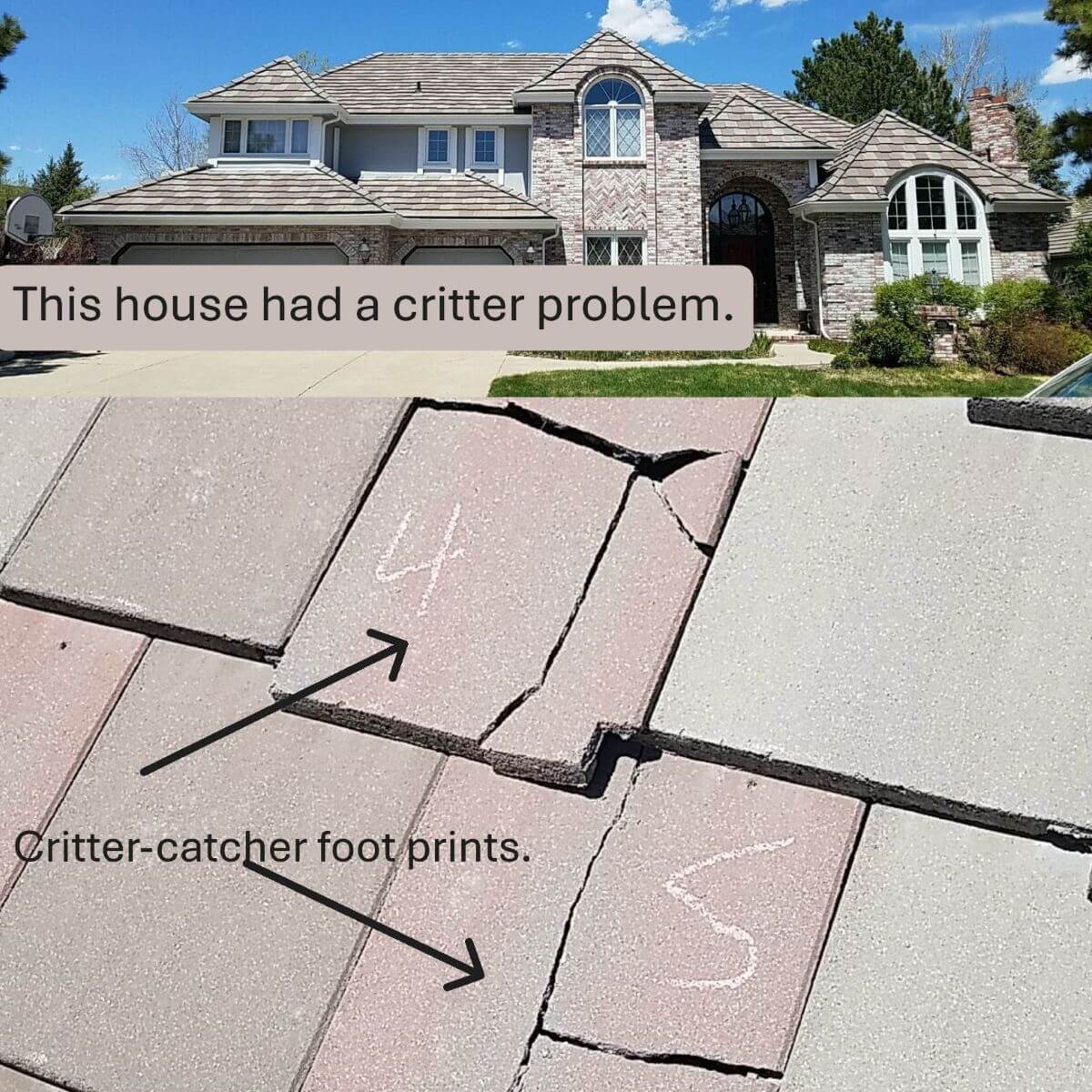 Cracked concrete roof tiles caused by improper foot traffic.